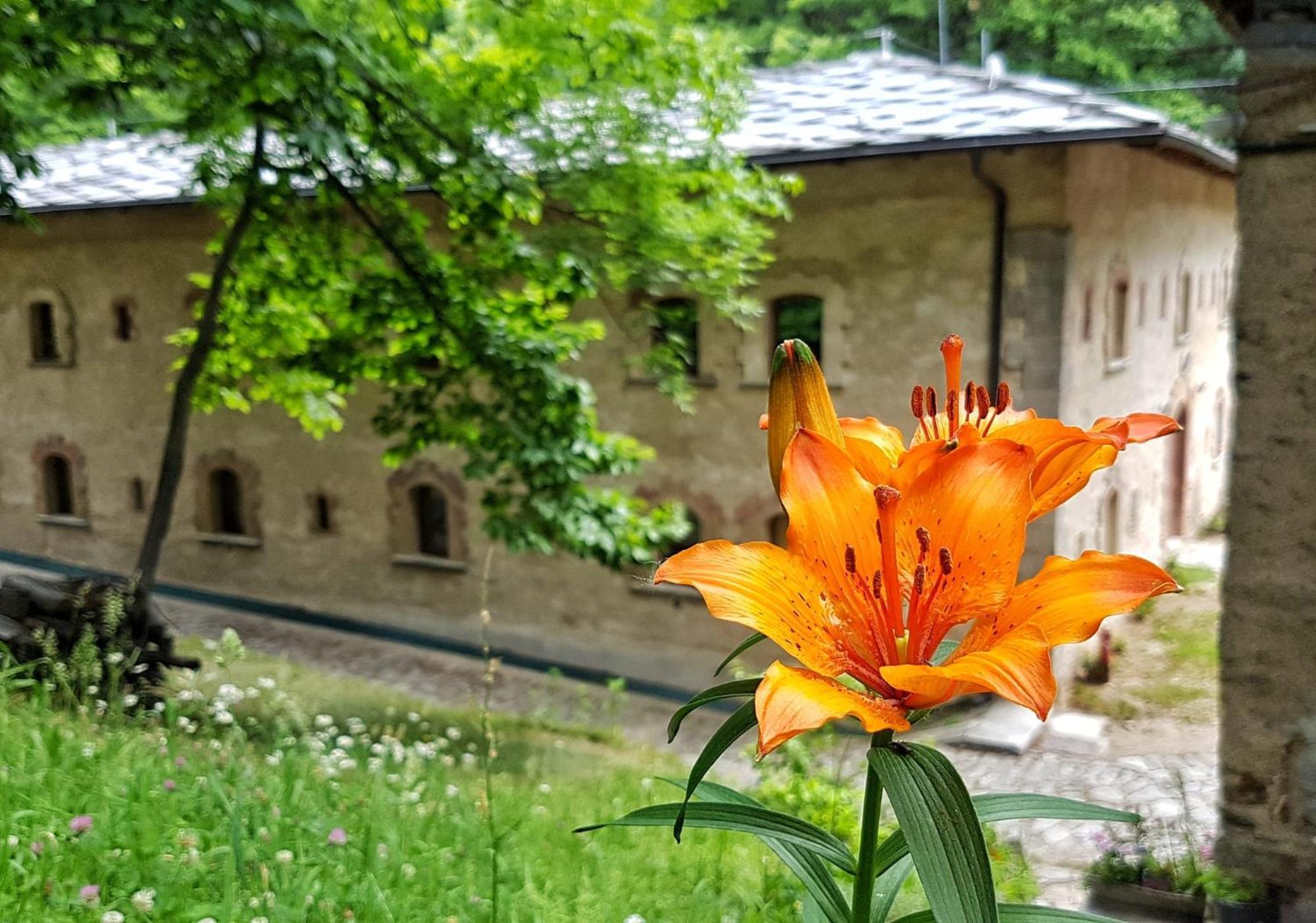 Forte Di Machaby Hostel Arnad Exterior photo